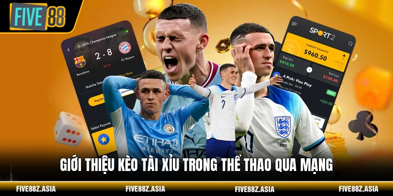Giới thiệu kèo tài xỉu trong thể thao qua mạng